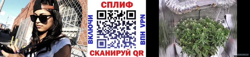 Купить наркотики цена Уяр СК Галлюциногенные грибы МАРИХУАНА КОКАИН ГАШИШ