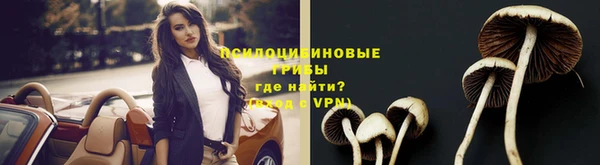 apvp Галич