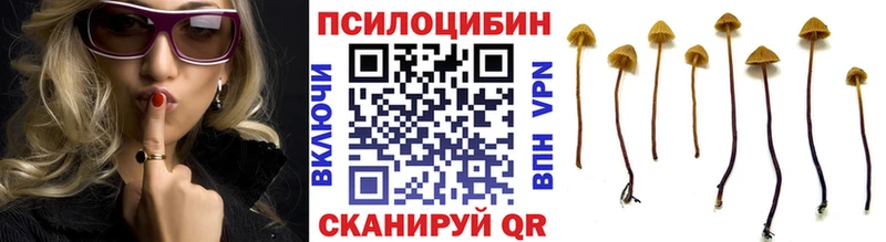 Псилоцибиновые грибы мицелий  Уяр 